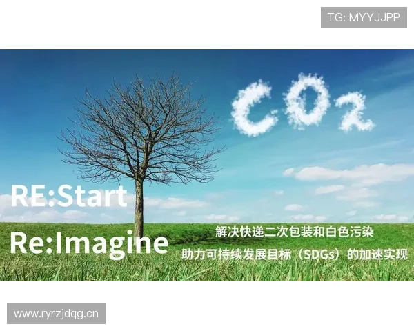 开云kaiyun官方网站合作伙伴及供应链管理详细介绍