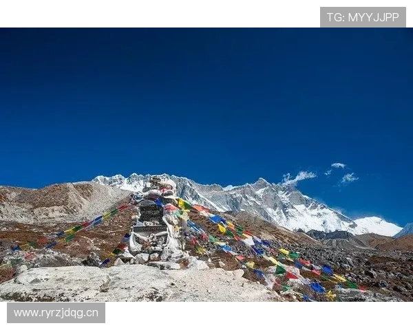 开云网页版操作指南，详细步骤助你轻松完成商品浏览与在线付款