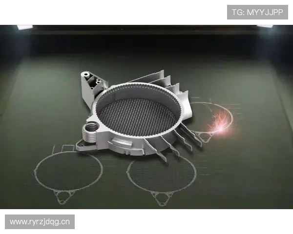 乐鱼网是干嘛的公司？探索其在网络游戏行业中的创新实践与技术应用